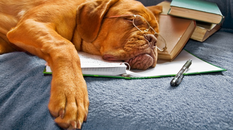 5 Tips for Getting Down to Your Copywriting Work
