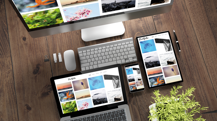 online portfolio essentials